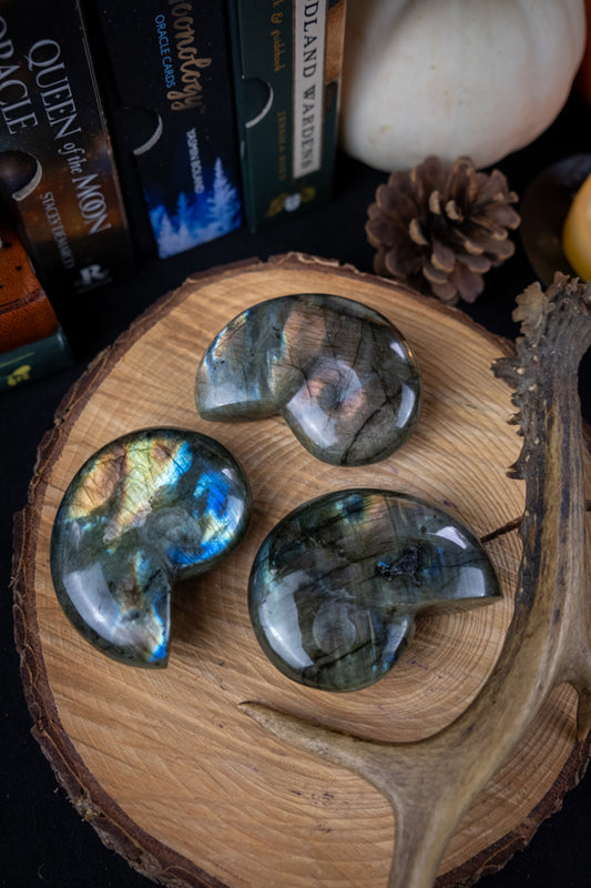 Labradorite Crystal Ammonite, Crystal for intuition, Crystal for change, Spiritual gift, Akashic records, Psychic crystal, Protection stone