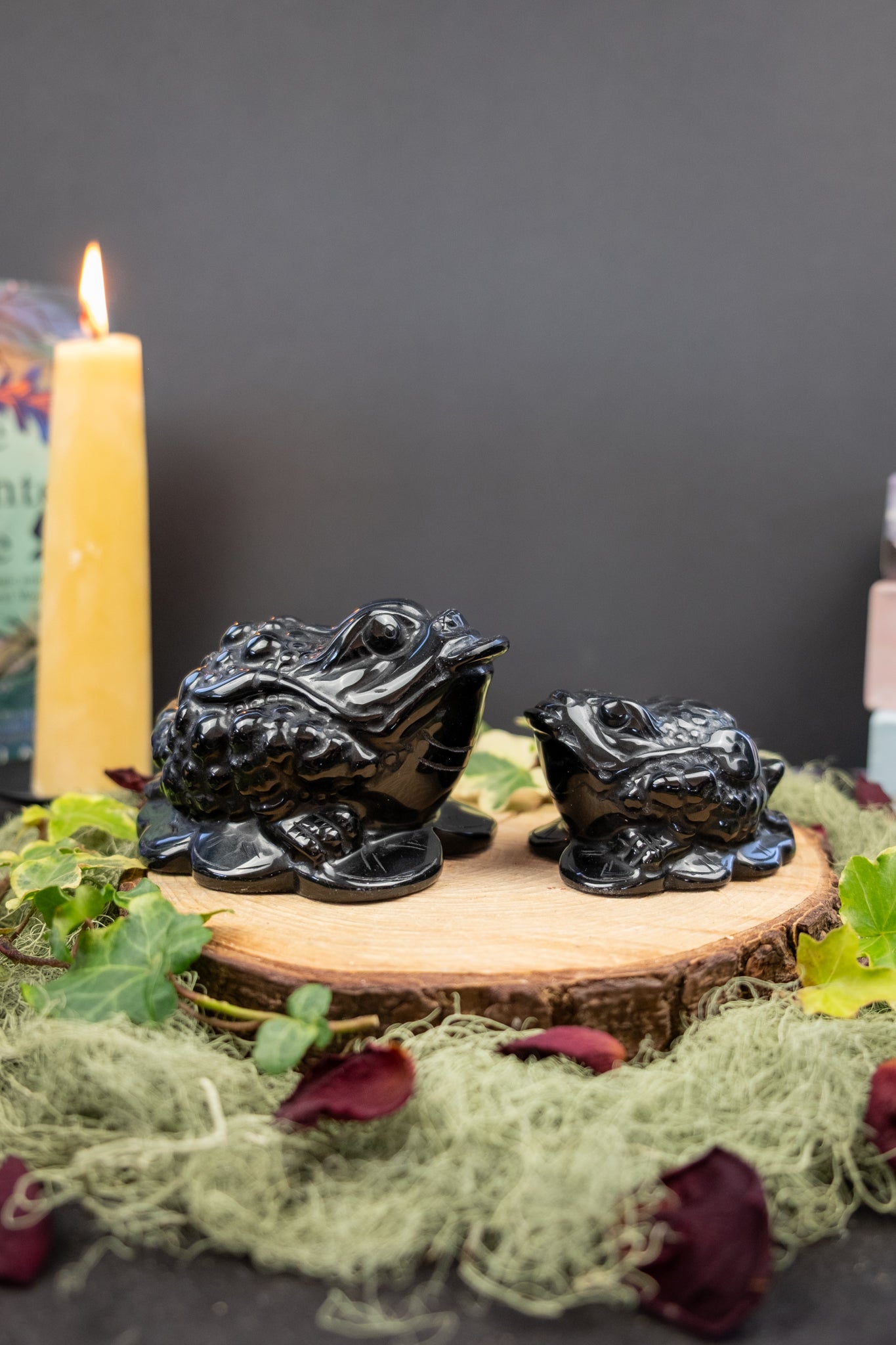 Black Obsidian Money Frog Crystal Carving, Protection and Prosperity Stone, Grounding Wealth Symbol from Mexico