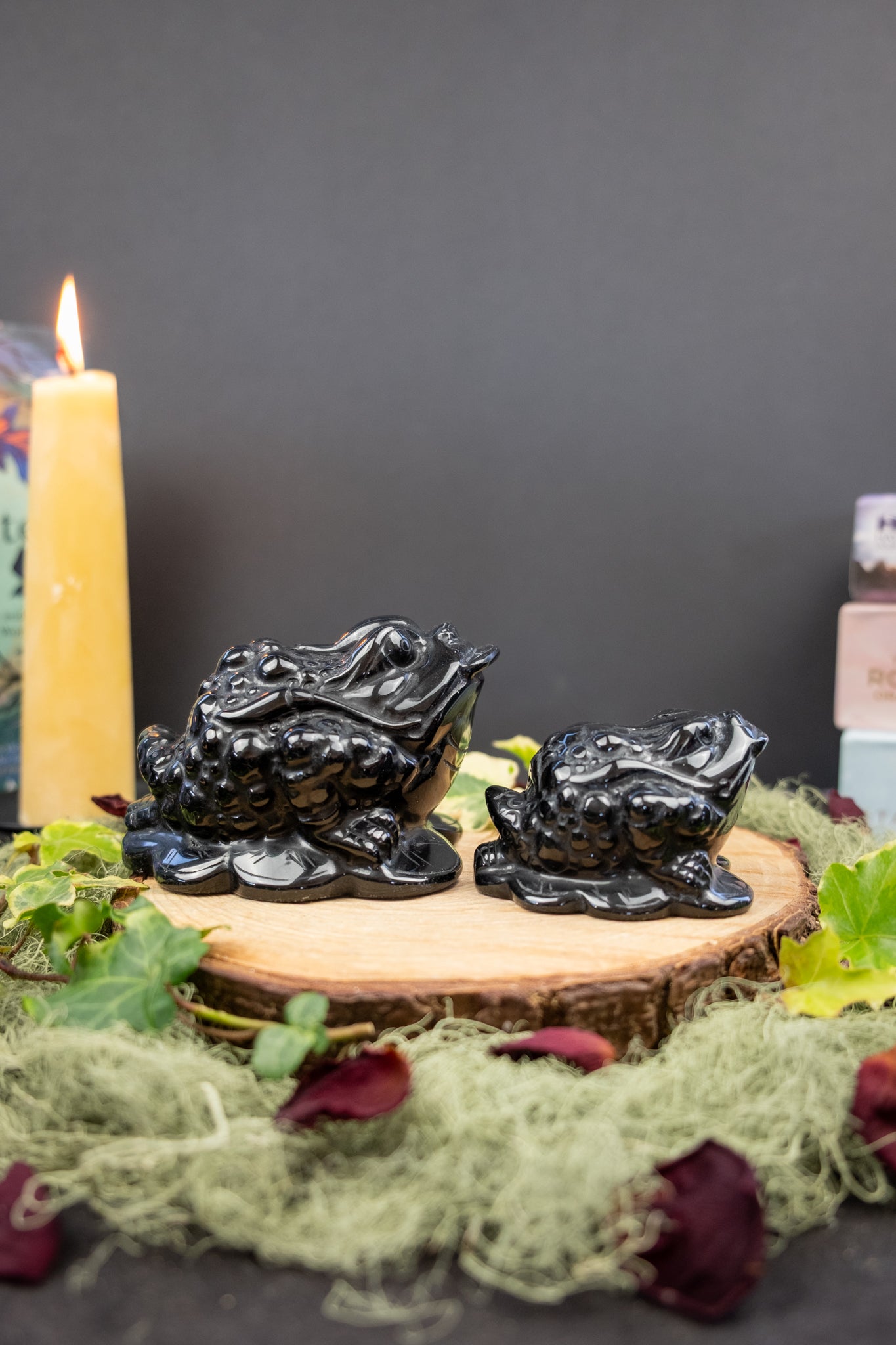 Black Obsidian Money Frog Crystal Carving, Protection and Prosperity Stone, Grounding Wealth Symbol from Mexico