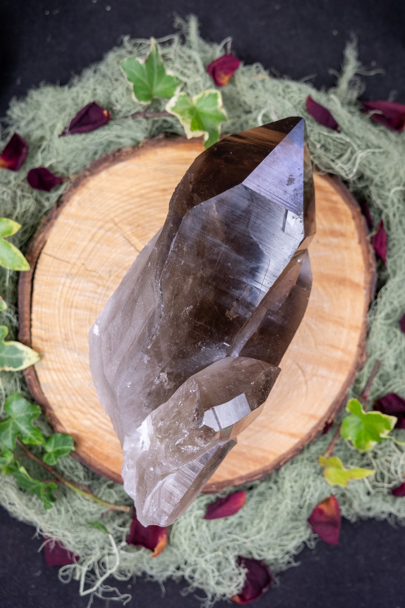 Dark Smokey Lemurian Quartz Soulmate Point, Self Healed Family Constellation Crystal, High Grade Smoky Lemurian with Coding and Rainbows