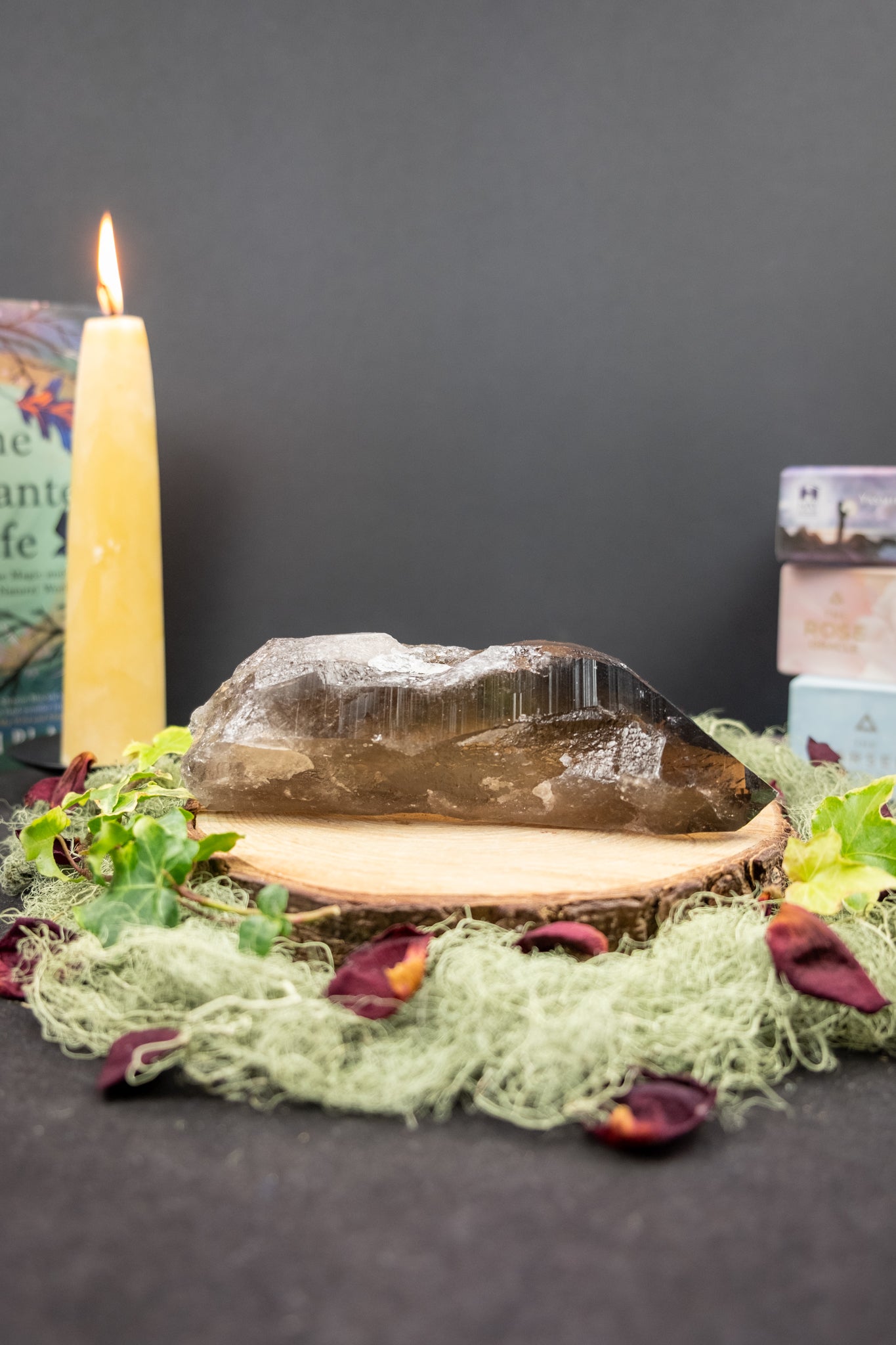 Dark Smokey Lemurian Quartz Point with Stand, High Grade Natural Lemurian Crystal, Deep Grounding Protection and Clarity, Meditation Crystal