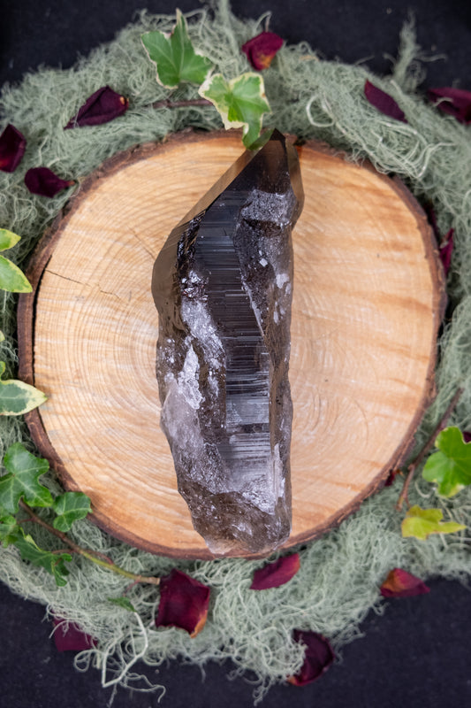 Dark Smokey Lemurian Quartz Point with Stand, High Grade Natural Lemurian Crystal, Deep Grounding Protection and Clarity, Meditation Crystal