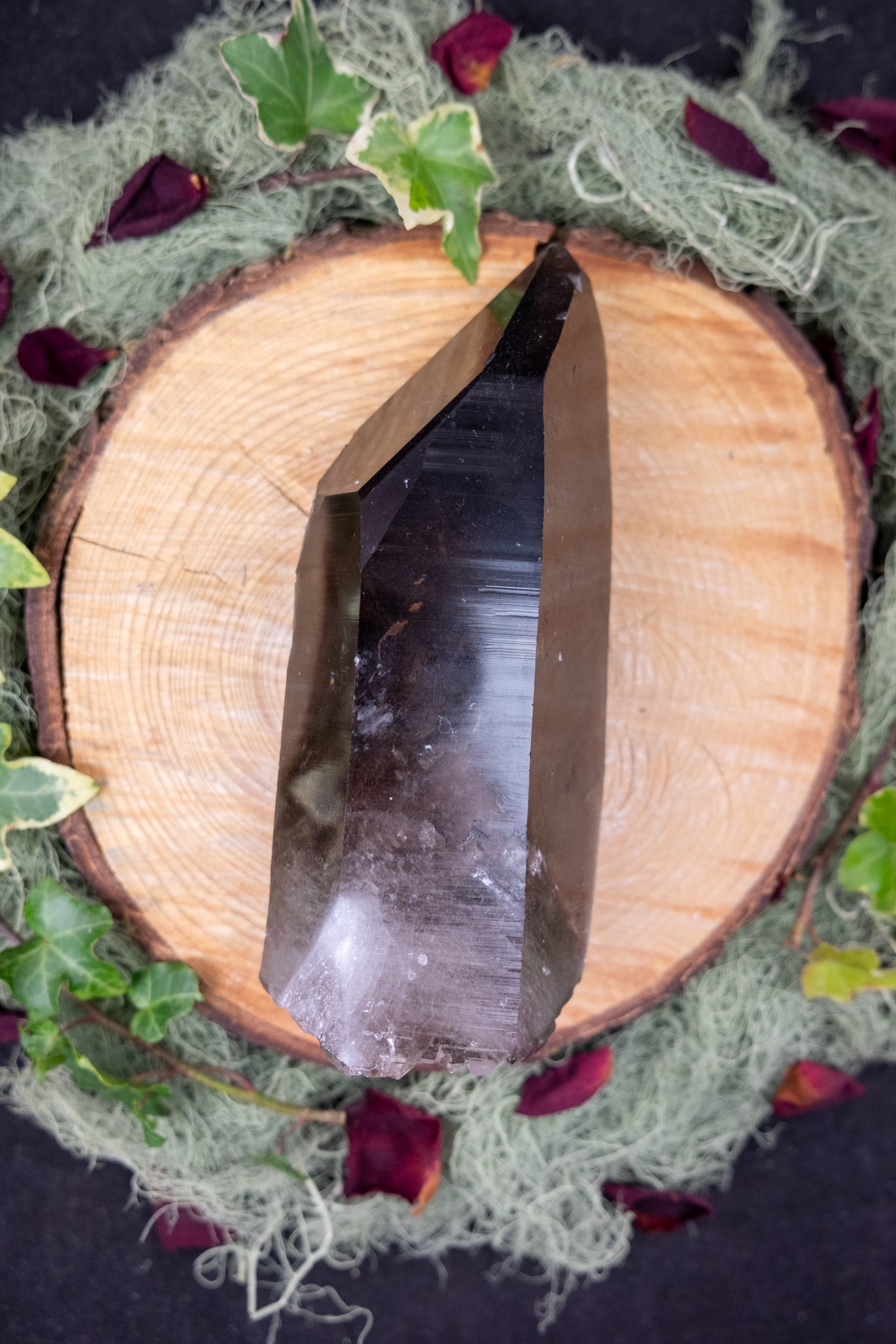 Dark Smokey Lemurian Quartz Point on Stand, Self Healed with Trigonic Etchings, Rare Barnacle Formations, High Grade Natural Crystal