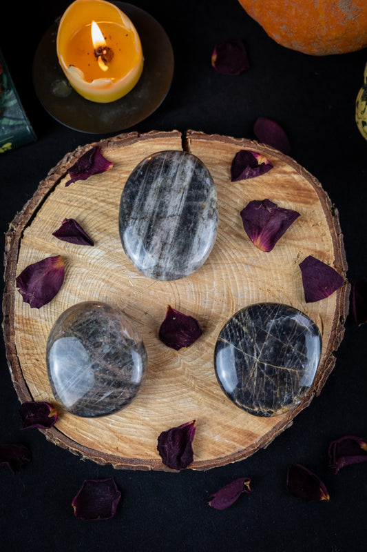 Black Moonstone crystal palm stone, Dark Moon Crystal, New Moon intention setting, Grounding and protective crystal, Root chakra