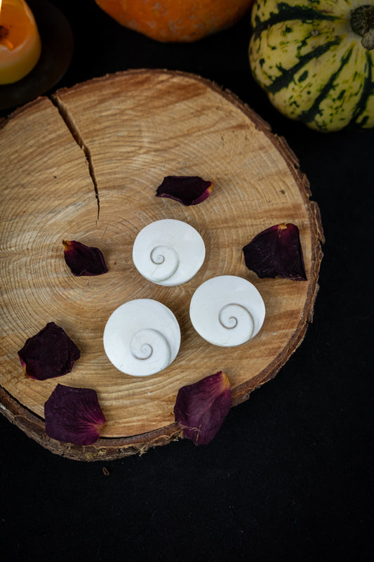 Shiva Shell, Go with the flow, Pacific Cat’s Eye, Transmute negative energy, Ward off evil eye, Serene vibes.