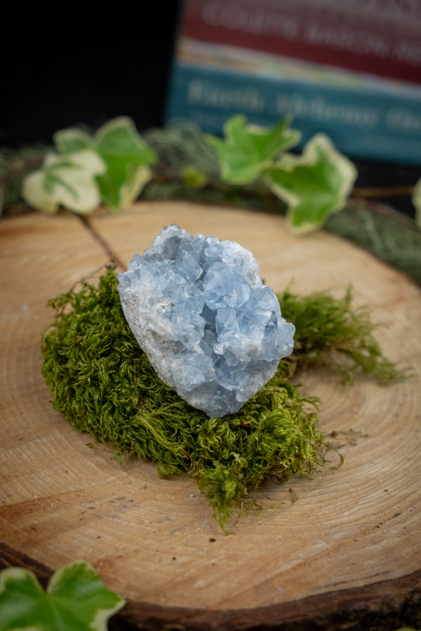 Celestite Cluster, Celestine Crystal, Angelic Blue Gem, High Vibration Stone, Calming Energy for Sleep and Spiritual Connection