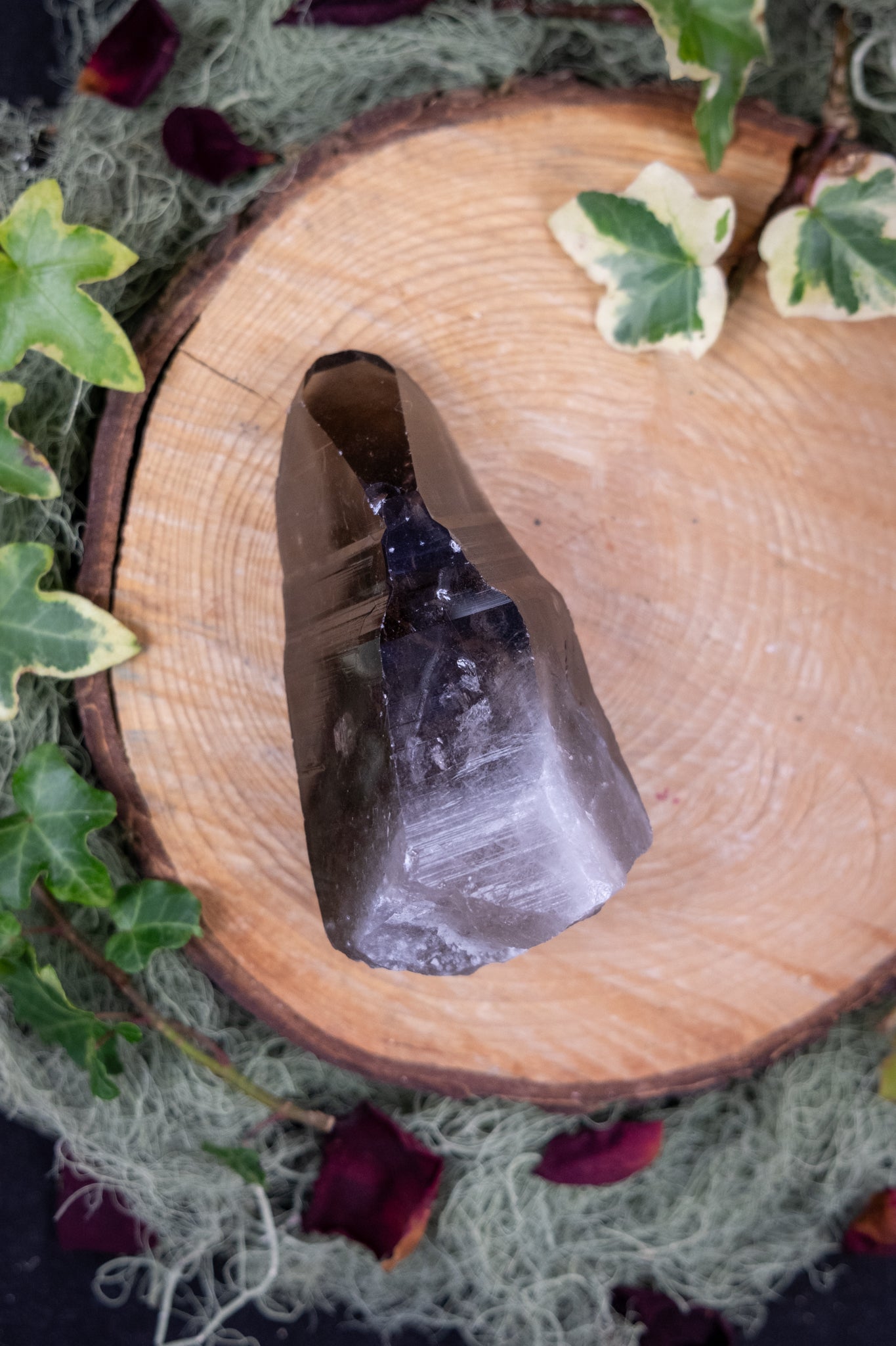 Smokey Lemurian Quartz Point on Stand, Natural Lemurian Crystal with Striations, Self Healed Clarity Stone for Grounding and Soul Alignment