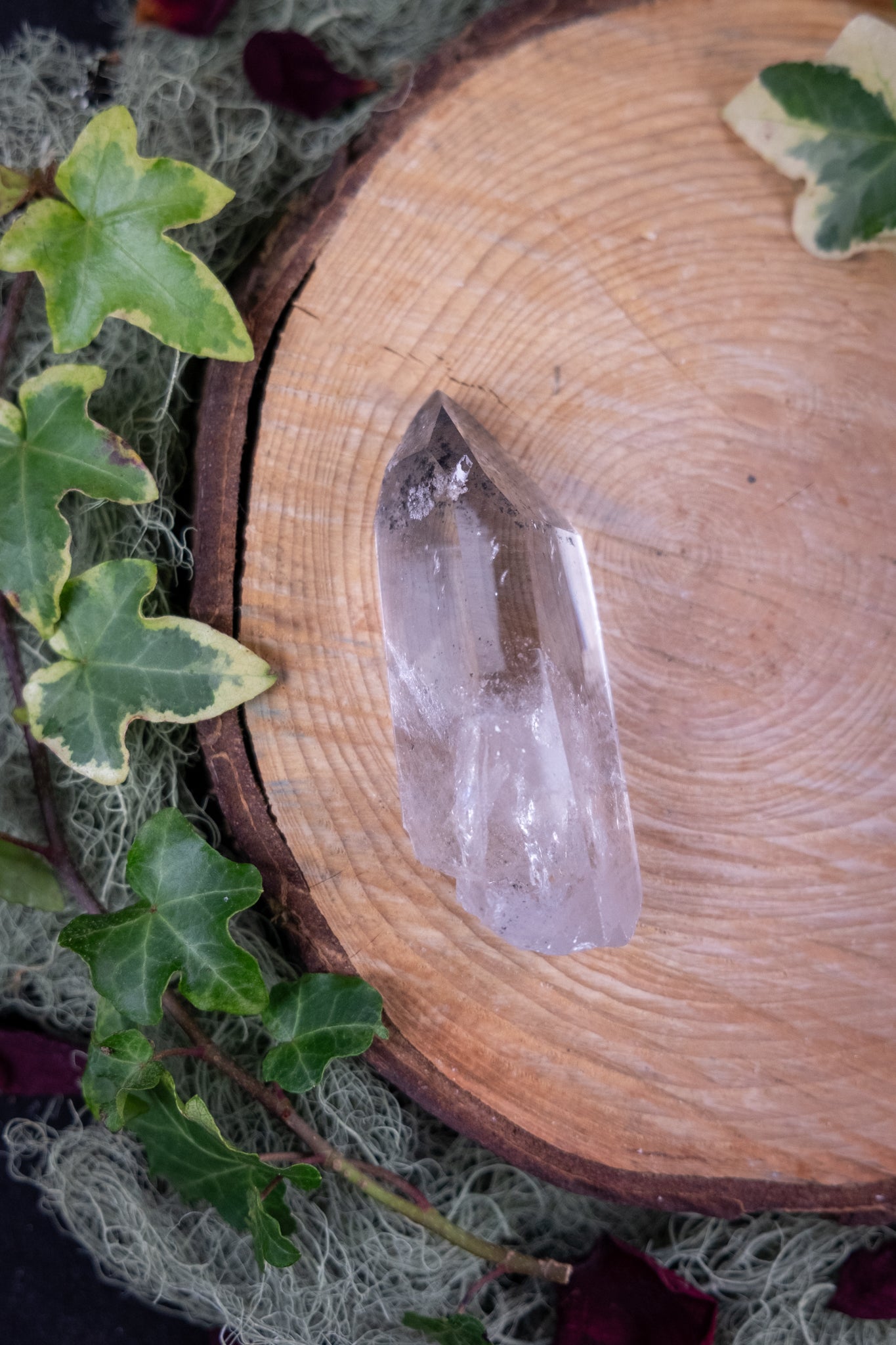 High Grade Lemurian Quartz Crystal Point, Exceptional Clarity, Self Healed Base, Windowed Lemurian with Coding and Internal Veils