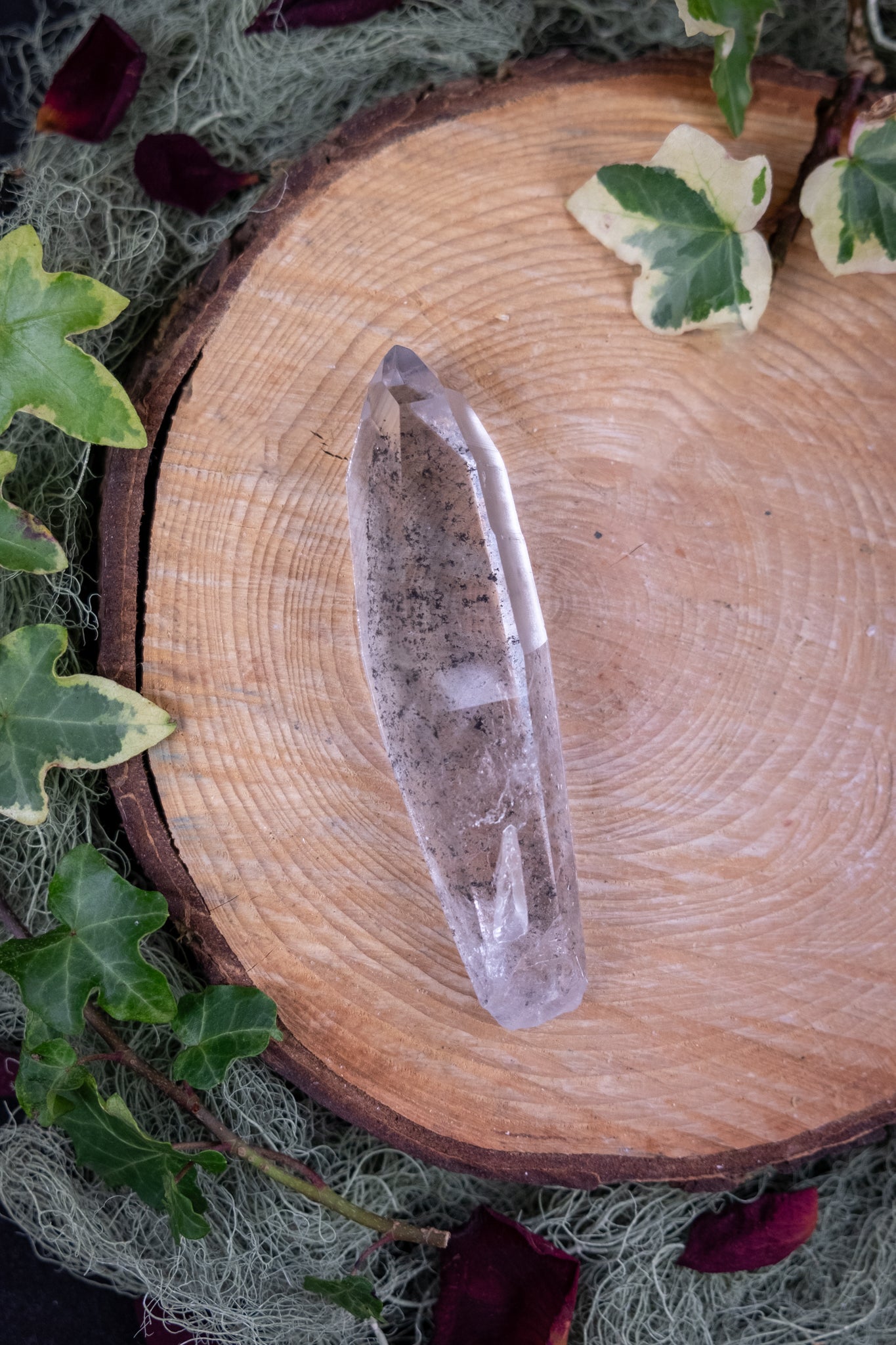 Phantom Lemurian Quartz Point