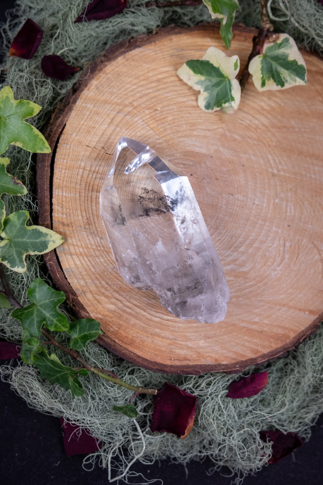 Black Phantom Lemurian Quartz Crystal Point, Carbon Included Lemurian, Windowed Self Healed Quartz with Rainbows and Ancient Coding