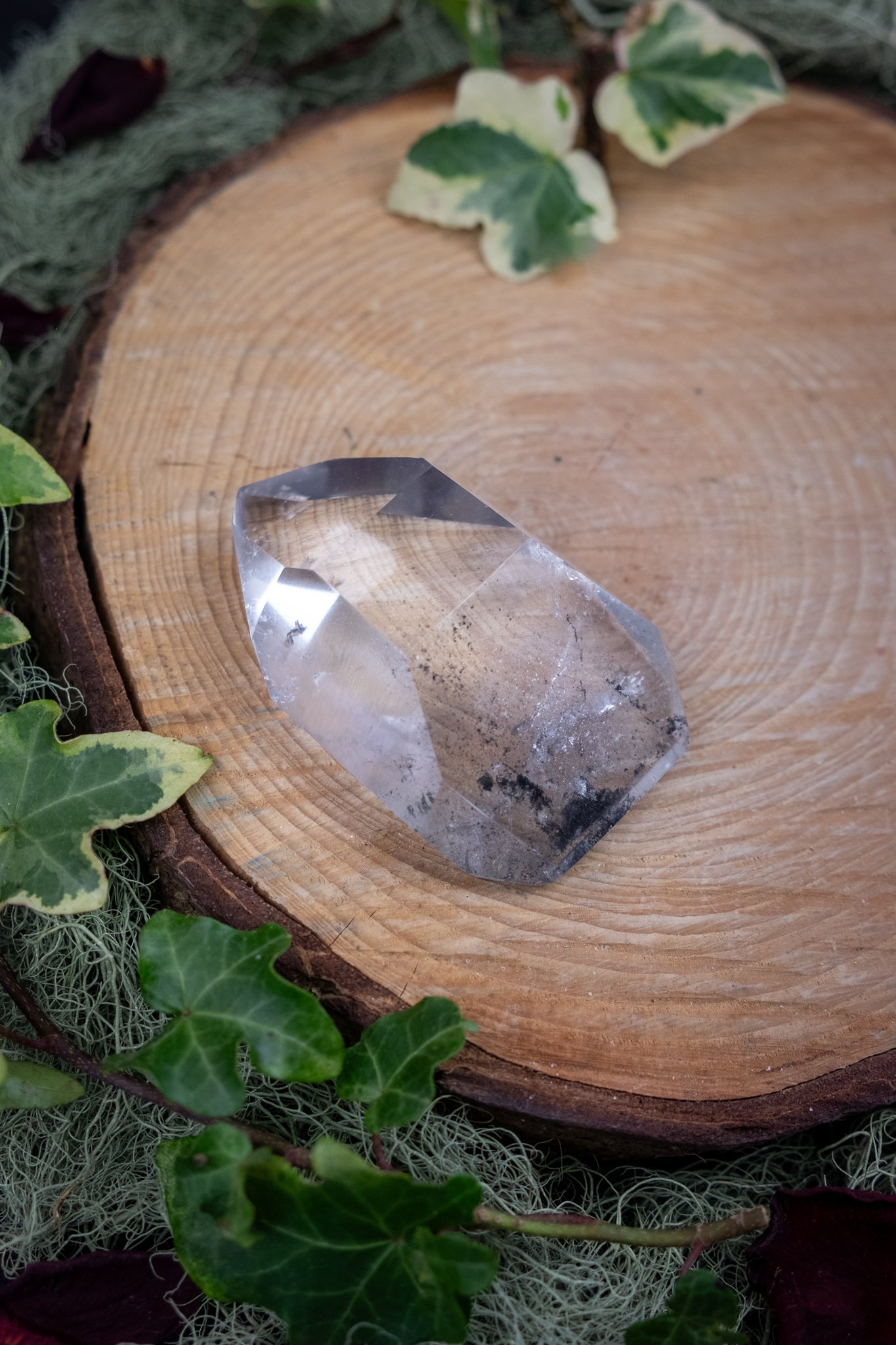 Phantom Lemurian Quartz Crystal Point