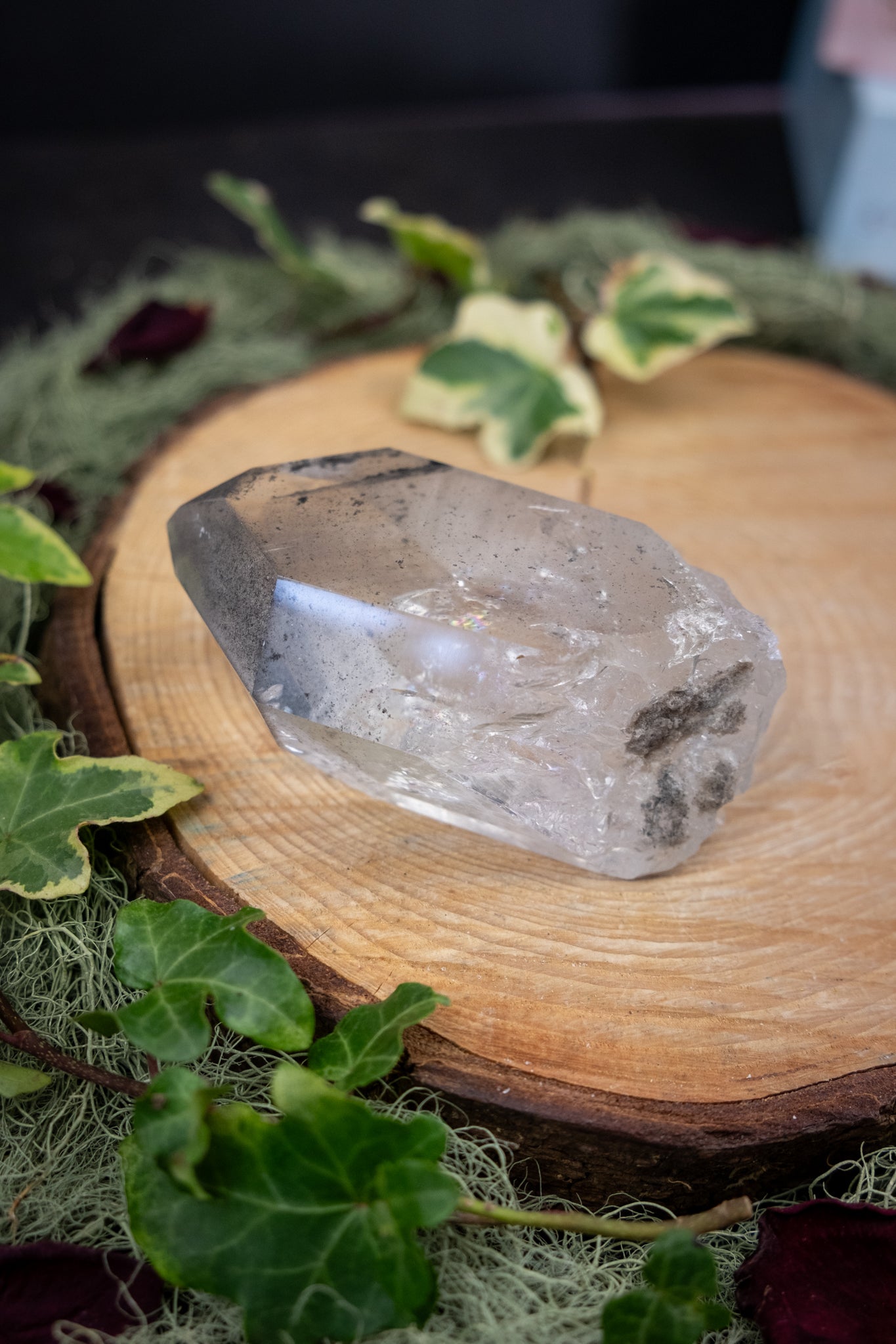 Phantom Lemurian Quartz Point, High Clarity Crystal with Internal Phantom Formation, Self Healed Base and Rainbow Light