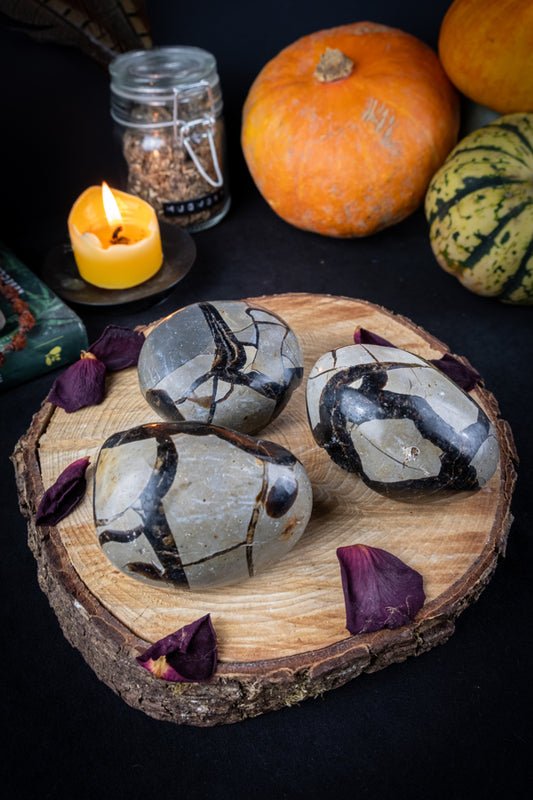 Septarian Crystal Geodes, Natural Dragon Stone, Drusy Septaria, Nurturing crystal, Grounding gemstone, Crystal for strength