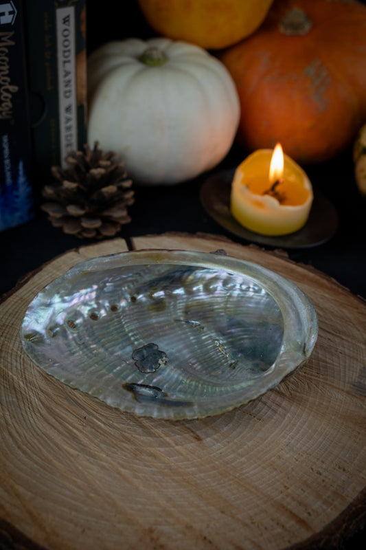 Abalone Shell, Ethically sourced Abalone shell from Mexico, Ritual smudge holder, Smudge kit, Sage holder.