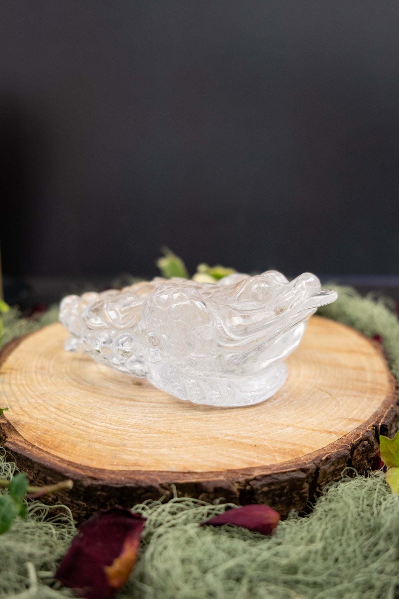 Clear Quartz Money Frog Hand Carved Brazil High Grade Abundance Crystal Wealth Symbol Exceptional Clarity Collector Piece