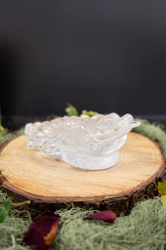 Clear Quartz Money Frog Hand Carved Brazil High Grade Abundance Crystal Wealth Symbol Exceptional Clarity Collector Piece