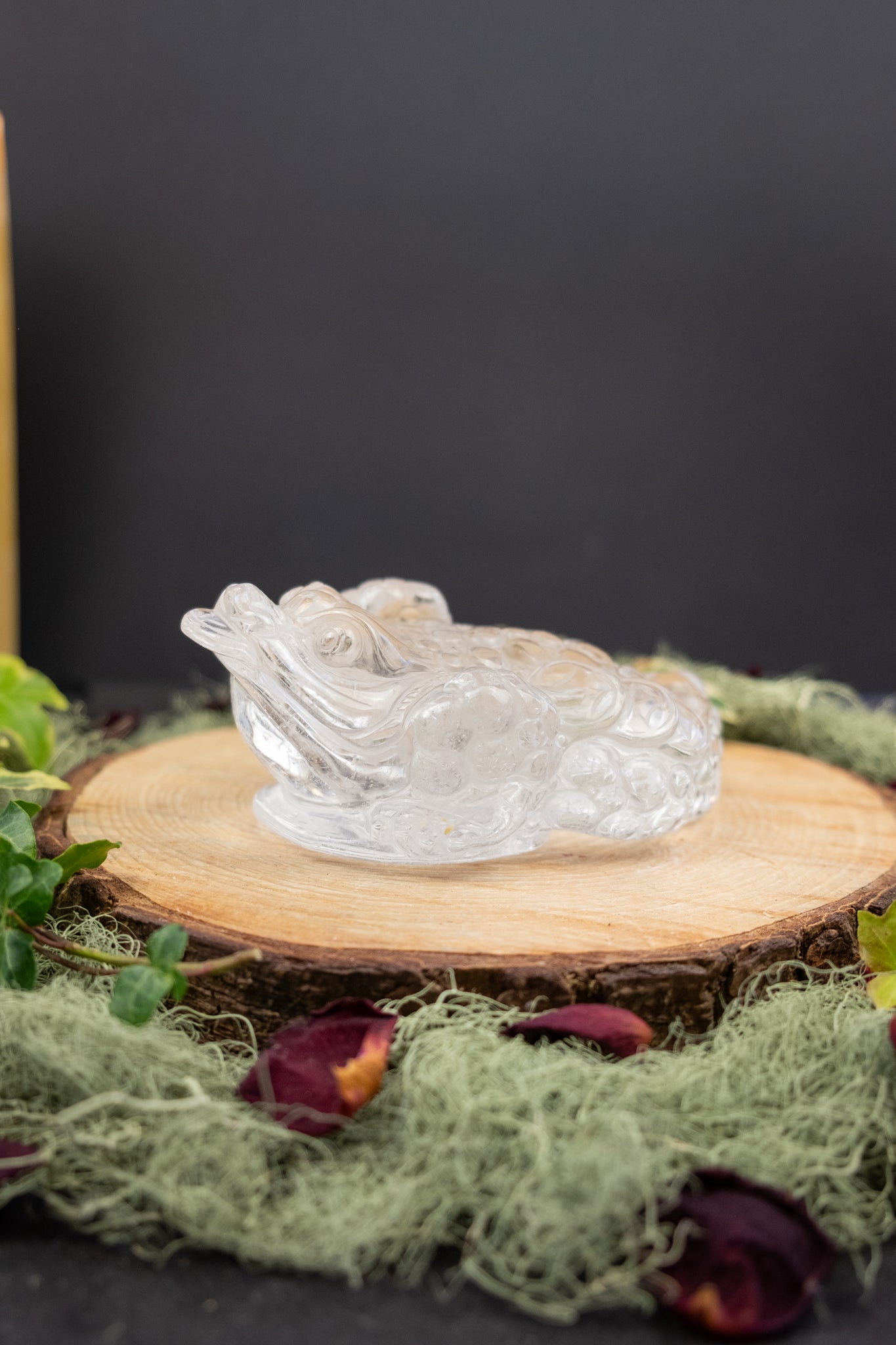 Clear Quartz Money Frog Hand Carved Brazil High Grade Abundance Crystal Wealth Symbol Exceptional Clarity Collector Piece