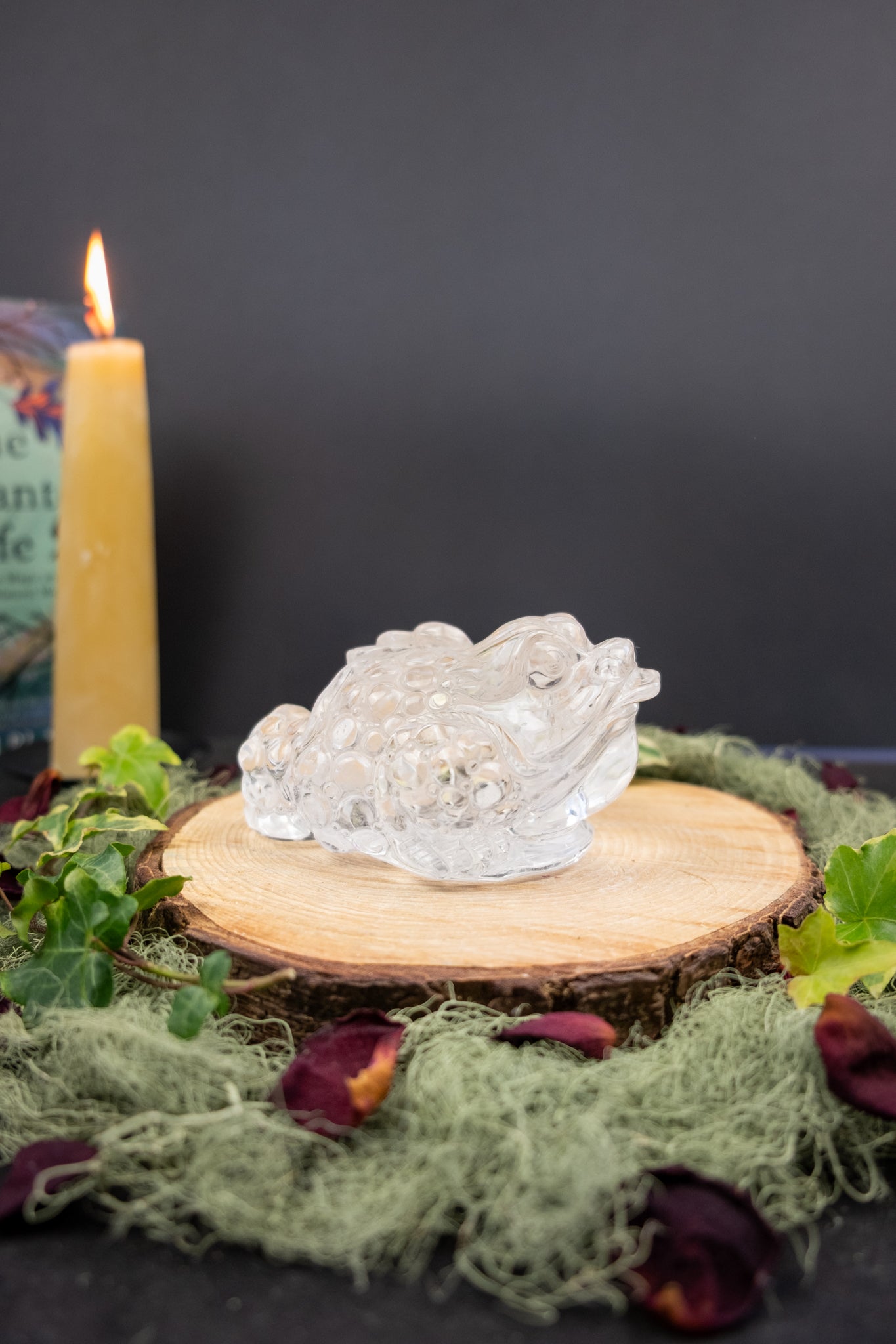 Clear Quartz Money Frog Hand Carved Brazil High Grade Abundance Crystal Wealth Symbol Exceptional Clarity Collector Piece