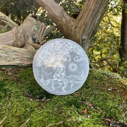 Selenite tree of life crystal charging plate, Cleanse and recharge crystals, clear your home, Aura cleanser.